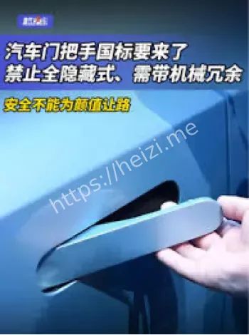 汽车门把手国标